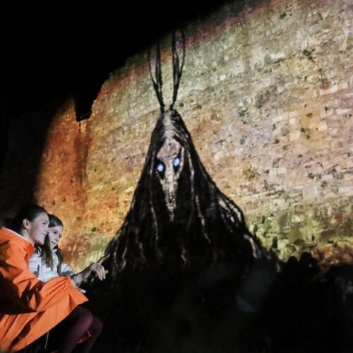 2022 Púca Festival, Cartoon Saloon Animation, Trim, Co Meath